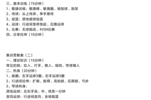 如何通过篮球集训提升比赛表现?——两种高效策略的比较与推荐